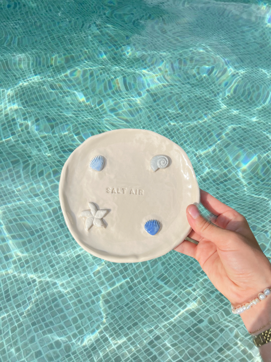 The salt air plate