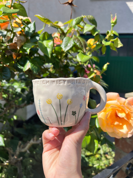 The lakes mug