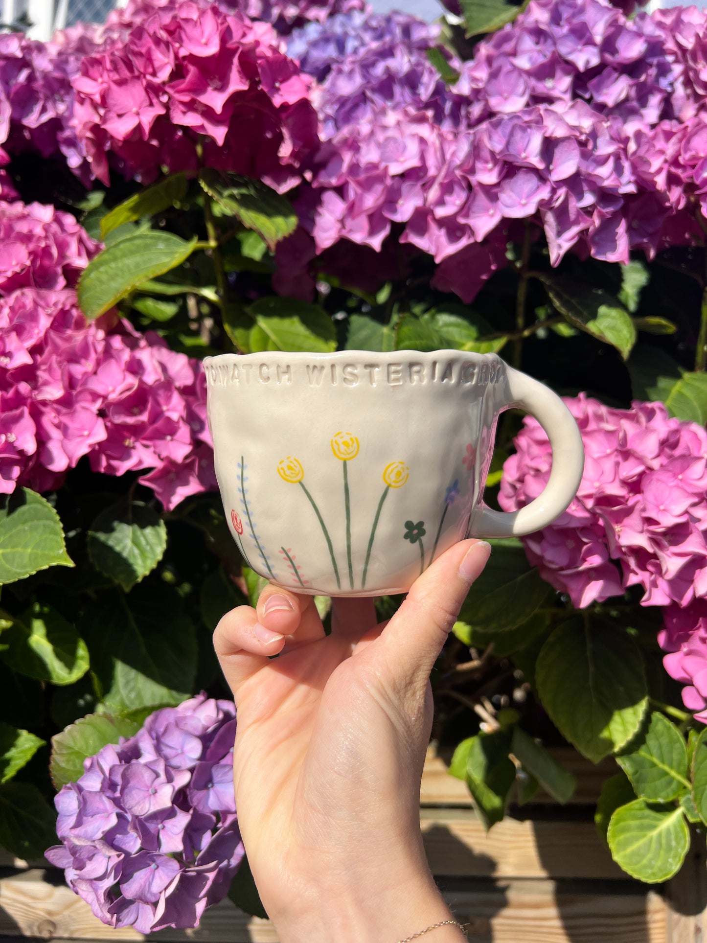 The lakes mug