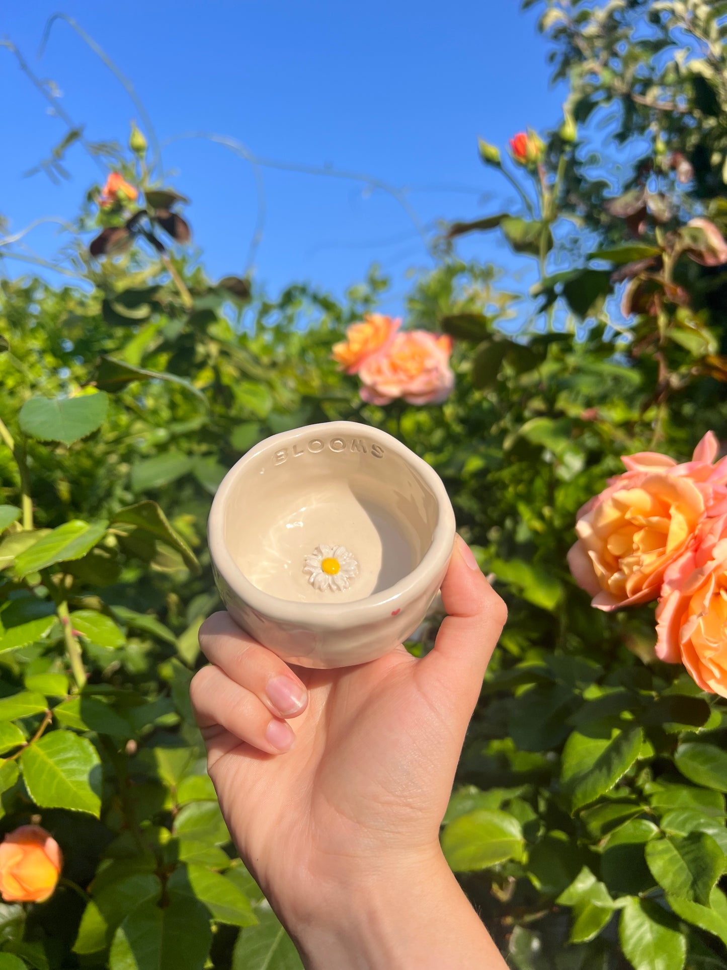 Ivy trinket dish / espresso cup