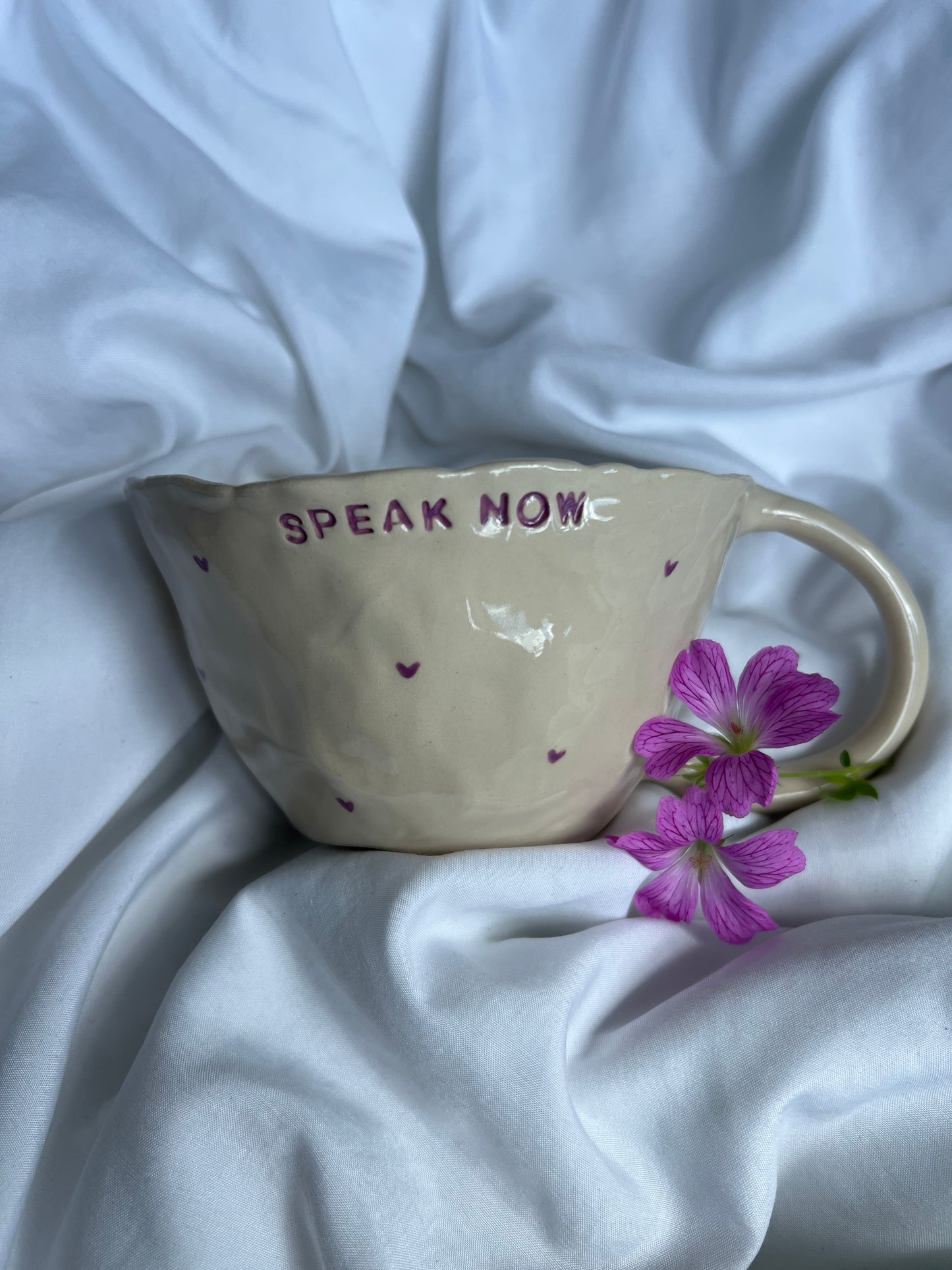 Speak now mug